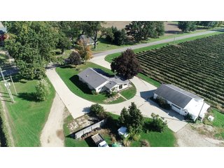 Home in Van Buren County, Michigan - LAND AUCTION - 300+/- ACRES SPECIALTY CROP - GRAPES AND HOPS - OFFERED IN 8 TRACTS IN VAN BUREN COUNTY, MICHIGAN